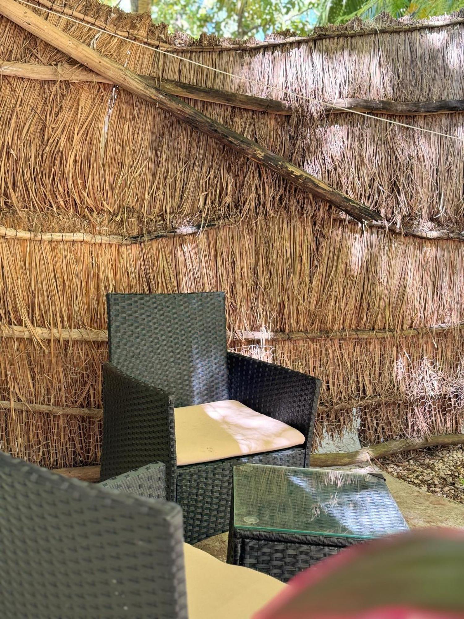 Hotel Selva Bacalar - Free Bike Rental エクステリア 写真