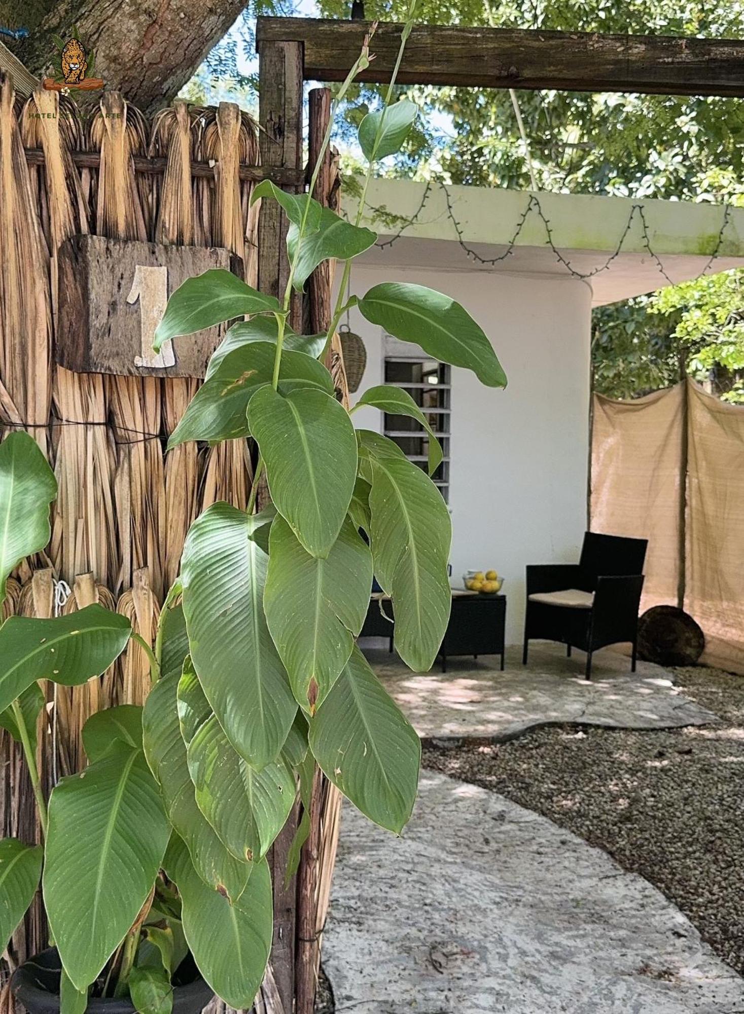 Hotel Selva Bacalar - Free Bike Rental エクステリア 写真