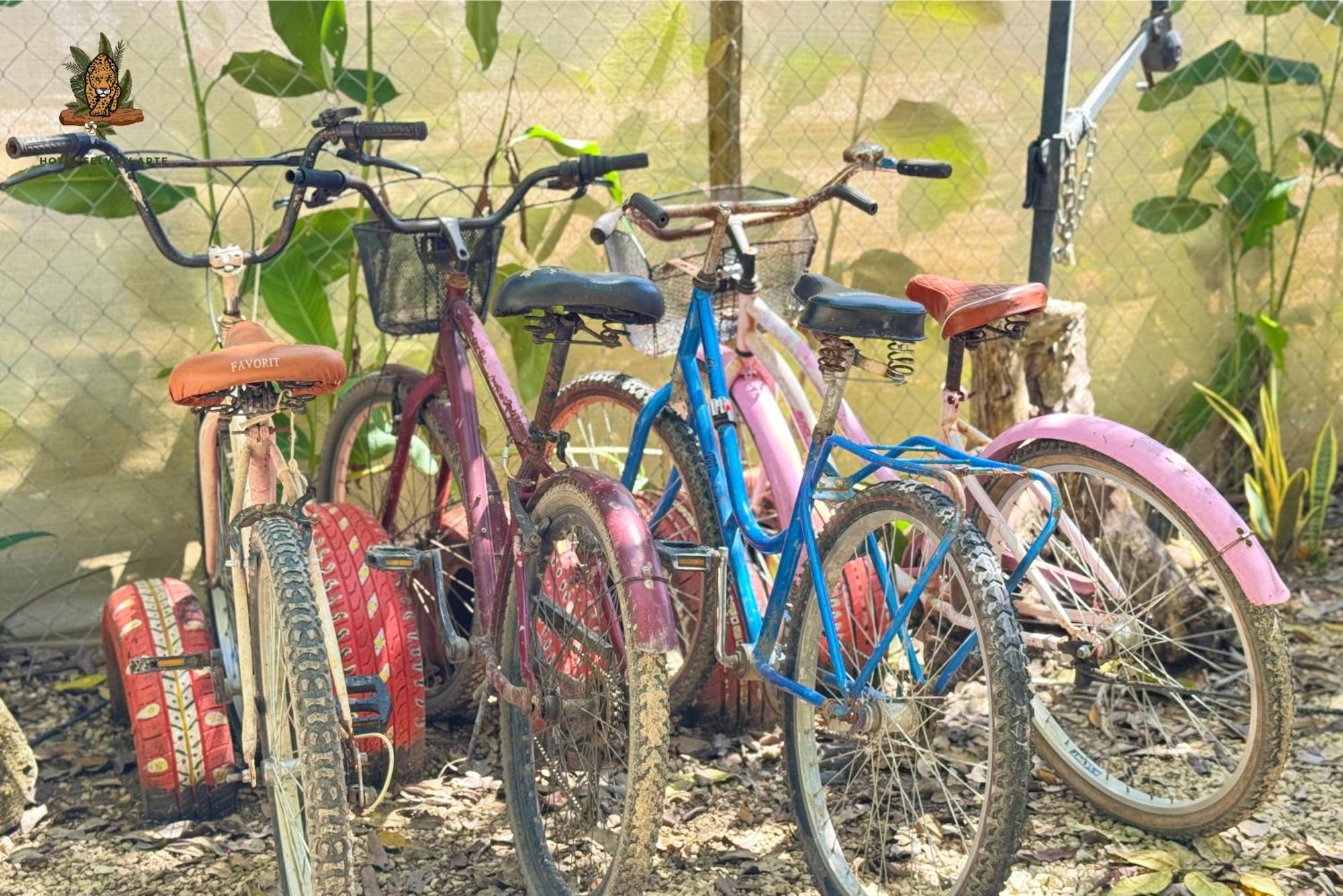 Hotel Selva Bacalar - Free Bike Rental エクステリア 写真