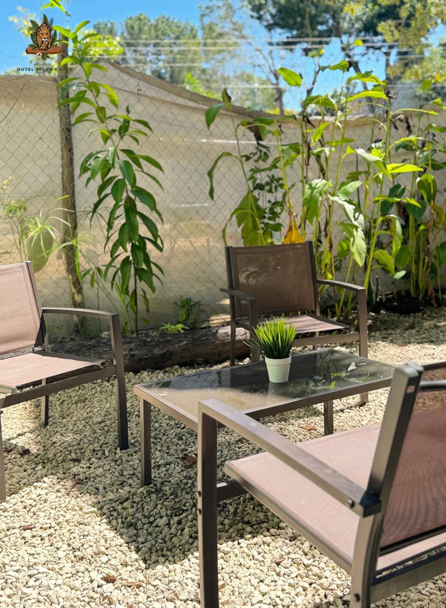 Hotel Selva Bacalar - Free Bike Rental エクステリア 写真