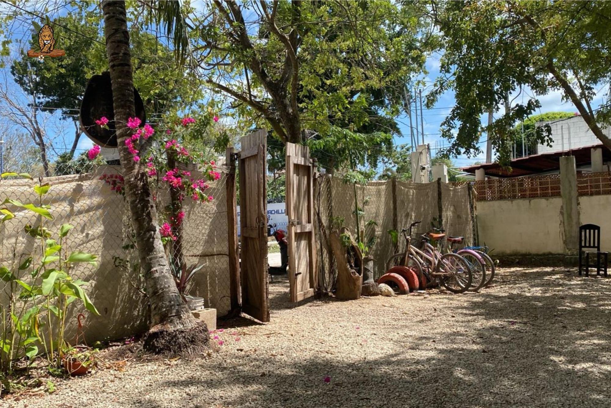 Hotel Selva Bacalar - Free Bike Rental エクステリア 写真
